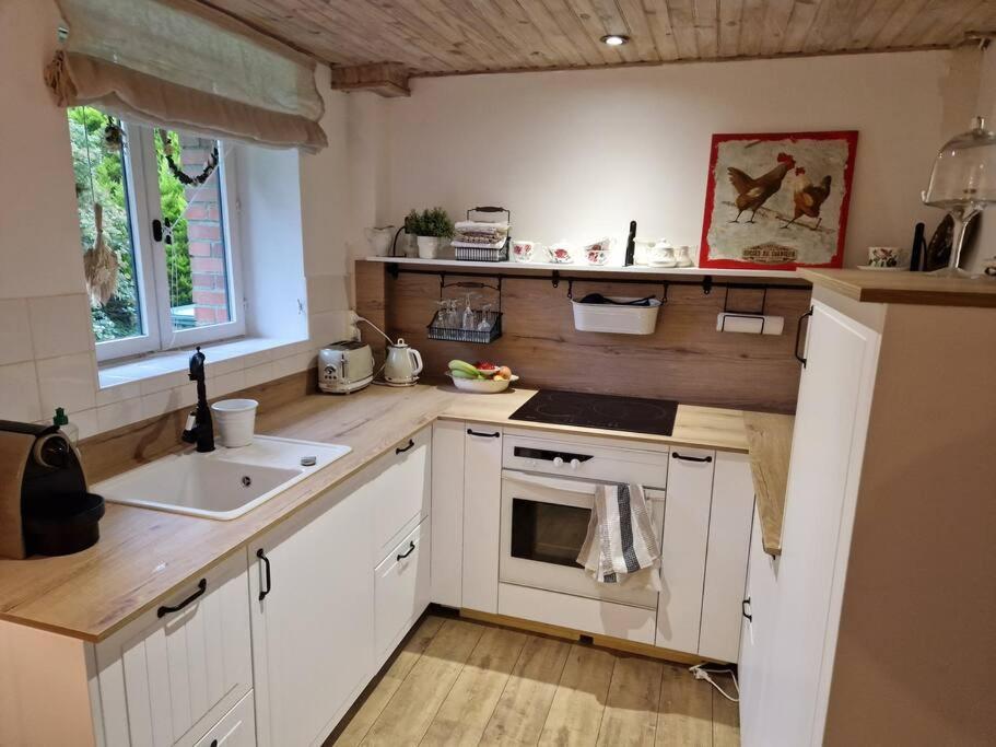 Petit Cottage Breton Saint-Mayeux エクステリア 写真